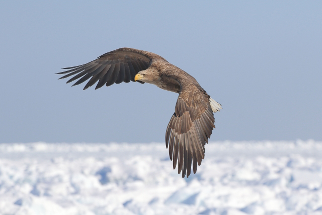 復活コーチングでもう一度立ち上がれ